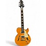 Used Greg Bennett Design by Samick Royale RL-3 Trans Amber Hollow Body Electric Guitar Trans Amber