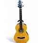 Used Greg Bennett Design by Samick ST6-2 Natural Acoustic Guitar Natural