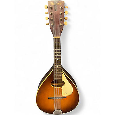Used Harmony H-331 Natural Mandolin