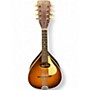 Used Harmony H-331 Natural Mandolin Natural