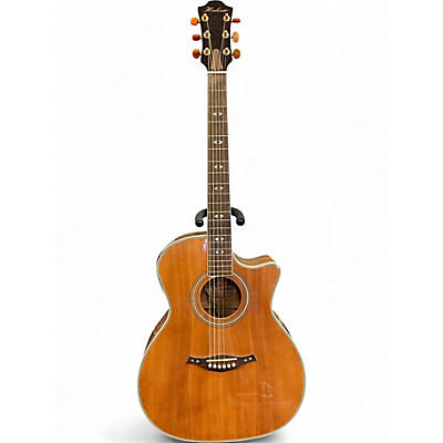 Used Hohner EA65CEQ Natural Acoustic Electric Guitar