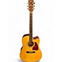 Used Ibanez AW 200CE Natural Acoustic Electric Guitar Natural