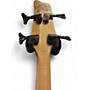 Used Ibanez ERGODYNE EDB700 Walnut Electric Bass Guitar Walnut