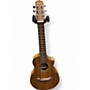 Used Ibanez EWP14 OPN Natural Acoustic Guitar Natural