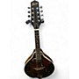 Used Ibanez M510E Dark Cherry Burst Mandolin Dark Cherry Burst
