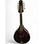 Used Ibanez M511SE 2 Tone Sunburst Mandolin 2 Tone Sunburst