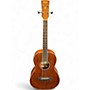 Used Ibanez PNB14E-OPN Walnut Acoustic Bass Guitar Walnut