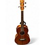 Used Ibanez PNB14E Open Pore Natural Acoustic Bass Guitar Open Pore Natural