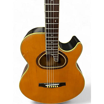 Used Ibanez R400  Natural Acoustic Guitar