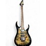 Used Ibanez RG1070PBZ DARK BURL Solid Body Electric Guitar DARK BURL