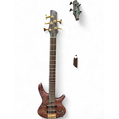 Used Ibanez SR655 POPLAR BURL Electric Bass Guitar