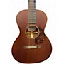 Used Iris CUSTOM MS 00 Mahogany Acoustic Guitar Mahogany