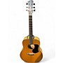 Used Irvin ISD-3 Natural Acoustic Guitar Natural