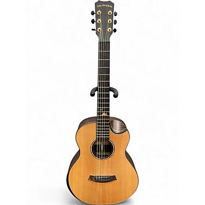 Used Islander MINI ACOUSTIC ELECTRIC Guitar Cabinet