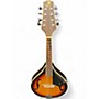 Used J. Reynolds JRMAN10 Sunburst Mandolin Sunburst