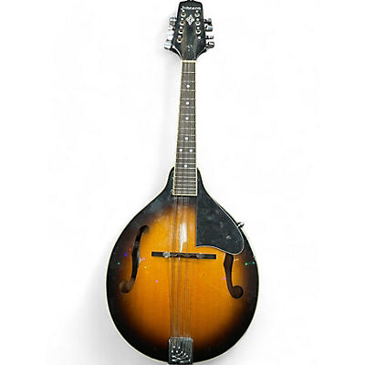 Johnson Used Johnson A MODEL MANDOLIN 2 Color Sunburst Mandolin