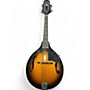 Used Johnson Used Johnson A MODEL MANDOLIN 2 Color Sunburst Mandolin 2 Color Sunburst