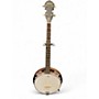 Used Johnson Closed Back Natural Banjo Natural