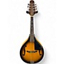 Used Johnson MA100 Sunburst Mandolin Sunburst