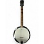 Used Johnson banjitar Natural Banjo Natural