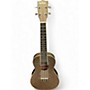 Used Kala Stardust Gold Concert Stardust Gold Ukulele Stardust Gold