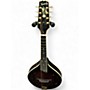 Used Kentucky KM505 Artist A Style Brown Sunburst Mandolin Brown Sunburst