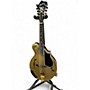 Used Kentucky KM858 Artist F Gold Mandolin Gold