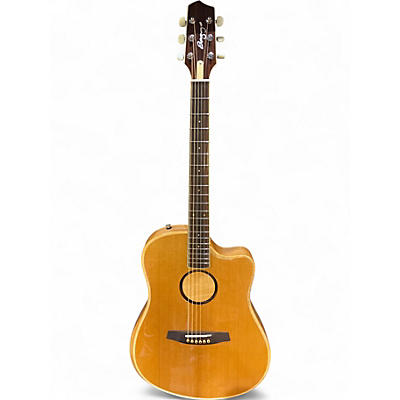 Used LR Baggs AEG-1 Natural Acoustic Electric Guitar