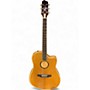 Used LR Baggs AEG-1 Natural Acoustic Electric Guitar Natural