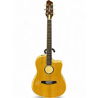 Used LR Baggs AEG-1 Torrefied Sitka Spruce Acoustic Guitar