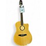 Used LR Baggs AEG1 NATURAL Acoustic Electric Guitar NATURAL