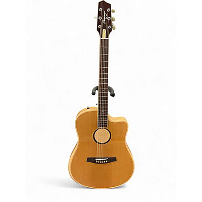Used LR Baggs EG-1 Natural Acoustic Guitar