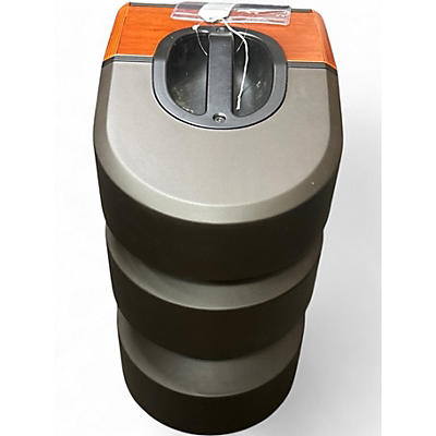 Used LR Baggs SYNAPSE Powered Speaker