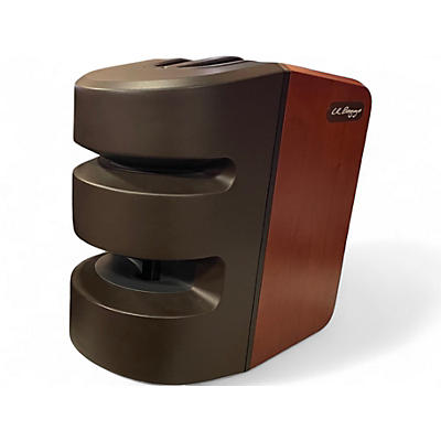 Used LR Baggs Synapse Powered Speaker