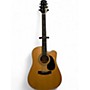 Used Laurel Canyon Used Laurel Canyon LD-100 Natural Acoustic Guitar Natural