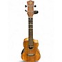 Used Luna HTC KOA UKULELE KOA Ukulele KOA