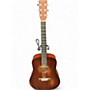 Used Martin D Jr E Mahogany Acoustic Electric Guitar Mahogany
