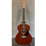 Used Martin Used Martin ROAD SERIES SPECIAL Mahogany Acoustic Guitar Mahogany