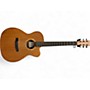 Used Martin XC1T Natural Acoustic Electric Guitar Natural