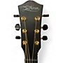 Used Mcpherson SABLE CARBON FIBER Acoustic Electric Guitar CARBON FIBER