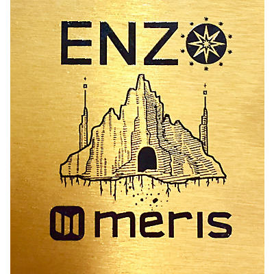 Meris Used Meris ENZ Effect Pedal