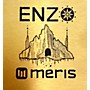 Used Meris Used Meris ENZ Effect Pedal