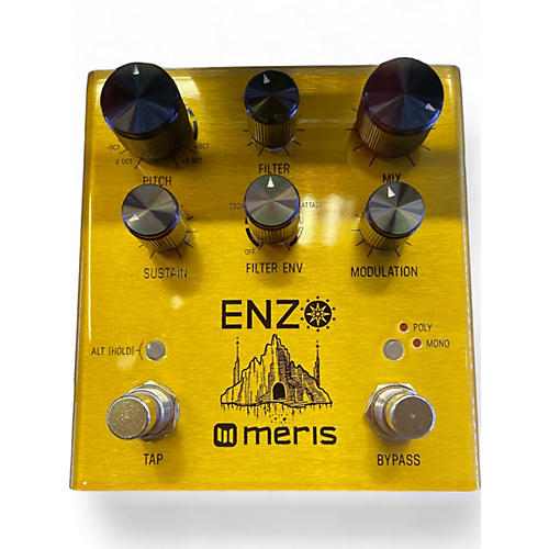 Meris Used Meris Enzo Effect Pedal