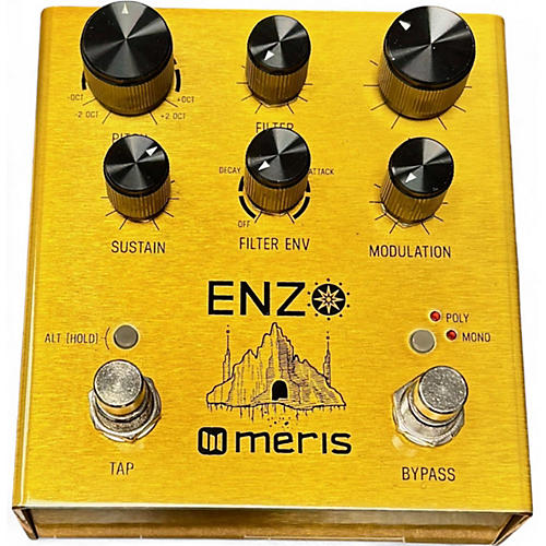 Used Meris Enzo Effect Pedal