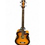 Used Michael Kelly FIREFLY 4SB 2 Tone Sunburst Acoustic Bass Guitar 2 Tone Sunburst
