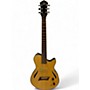 Used Michael Kelly Used Michael Kelly Hybrid Special Yellow Tiger Hollow Body Electric Guitar Yellow Tiger