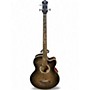 Used Michael Kelly MKDF4FLSKB Trans Black Acoustic Bass Guitar Trans Black