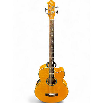 Used Michael Kelly MKDF5 5 String Dragonfly Acoustic Electric Amber Acoustic Bass Guitar