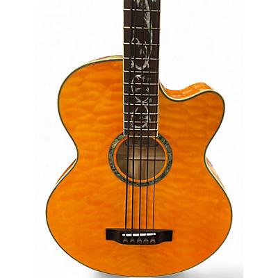 Used Michael Kelly MKDF5 5 String Dragonfly Acoustic Electric Natural Acoustic Bass Guitar