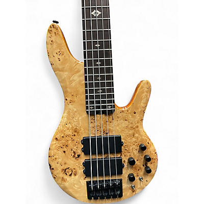 Used Michael Kelly Pinnacle 5 String Maple Electric Bass Guitar